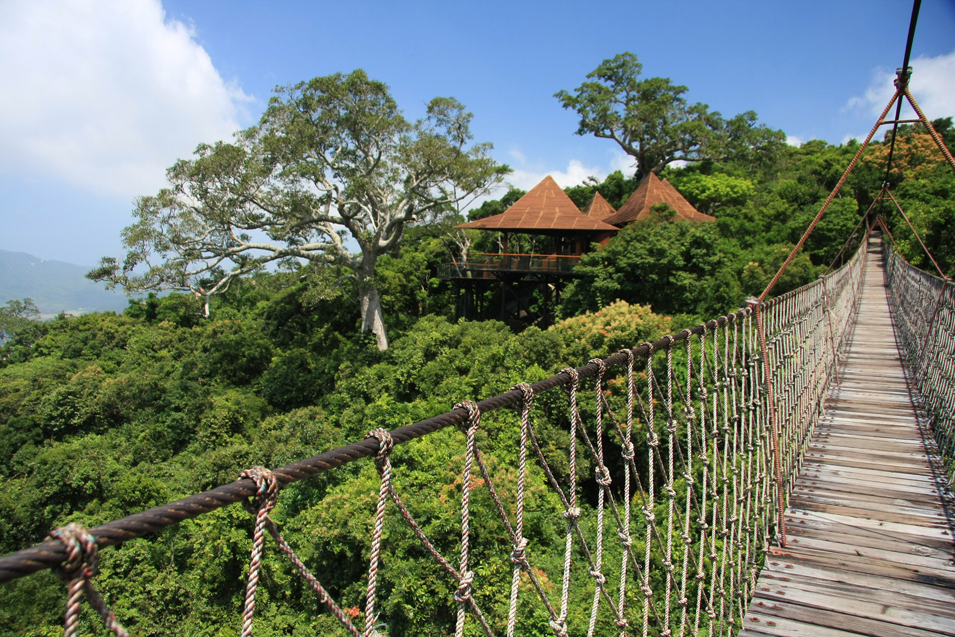 Yalong Bay Tropical Paradise Forest Park