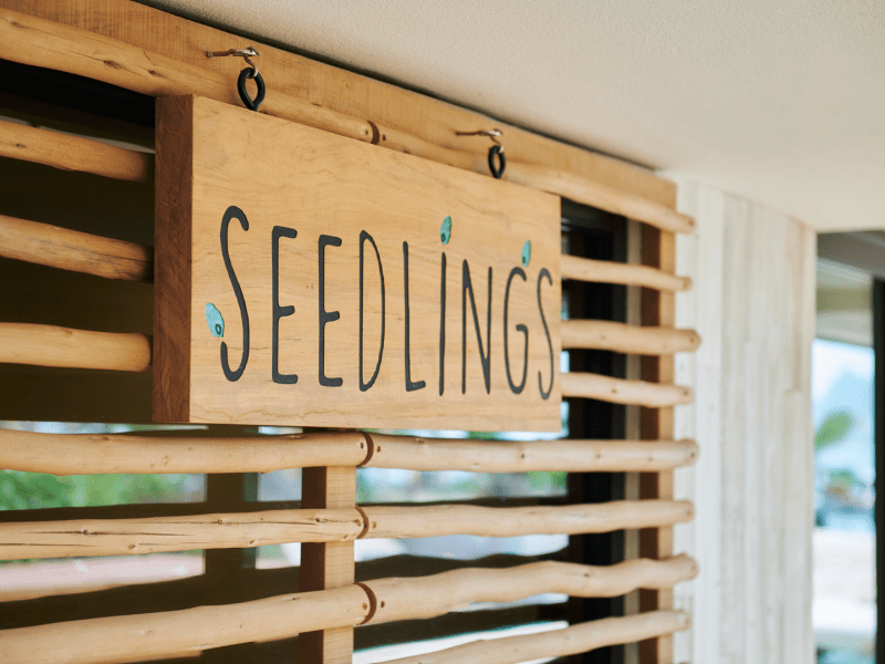 Seedlings sign