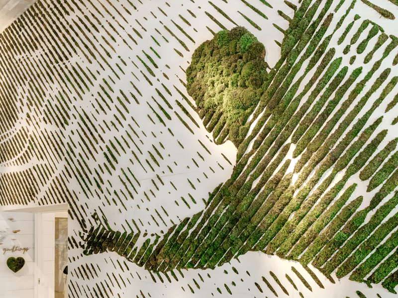 Moss mural of a person on a wall