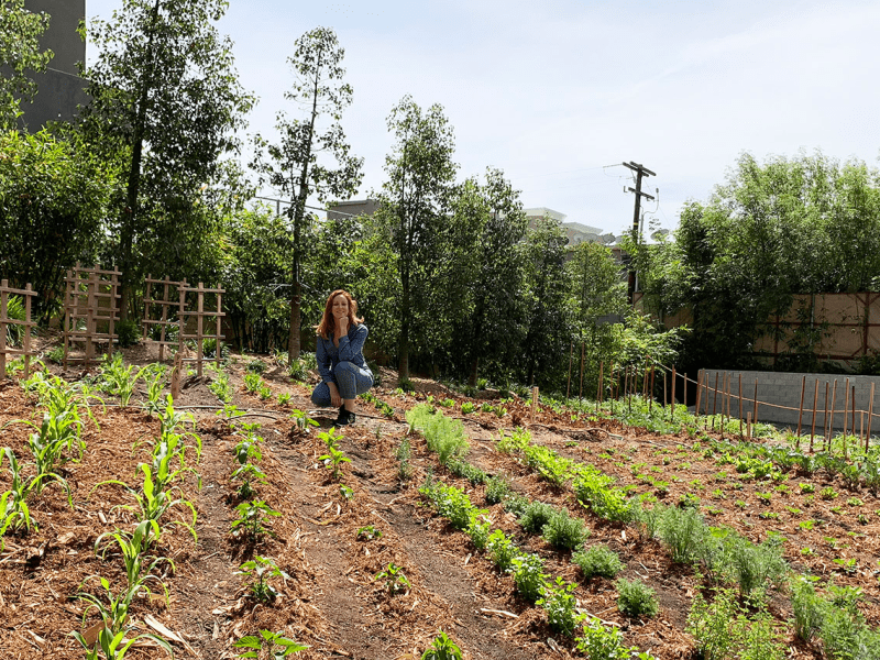 A person posing in a field of plants