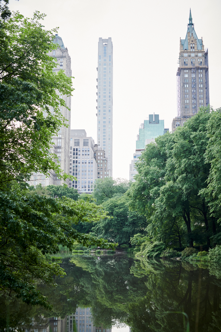 Central Park Buildings