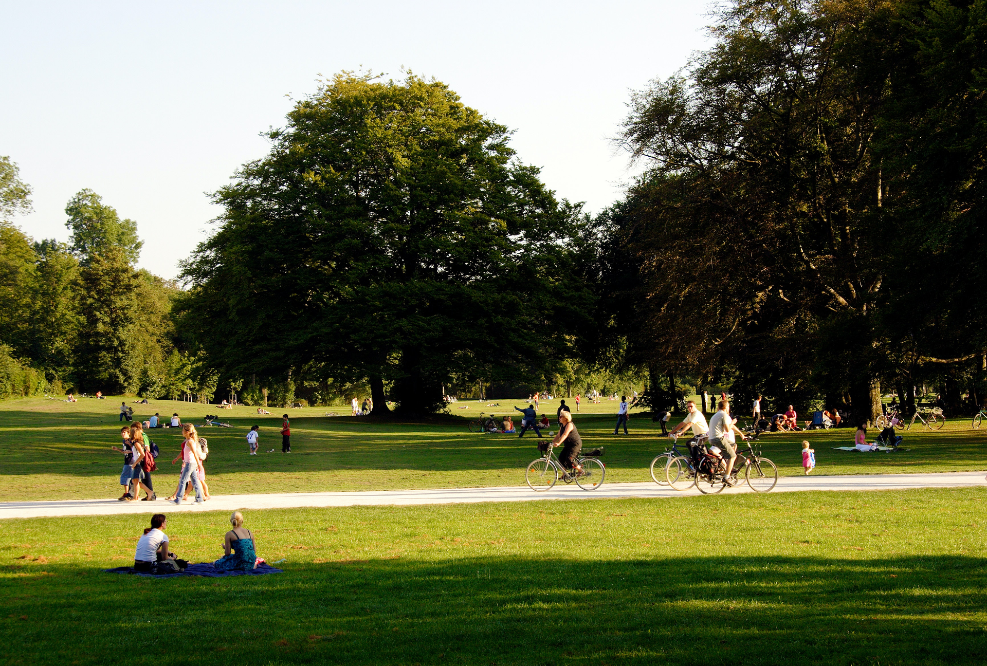 Park views of people enjoying a variety of activities