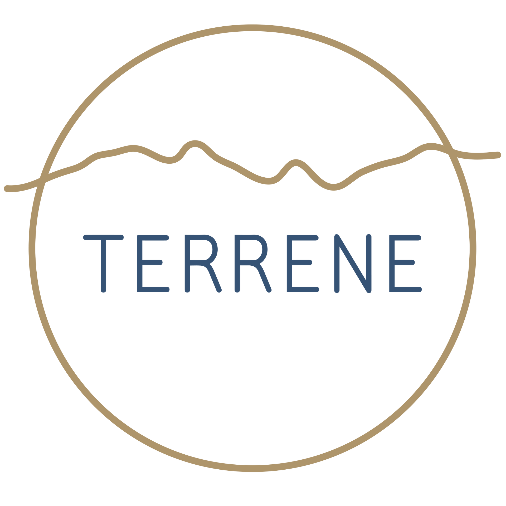 Logo de transition Terrene