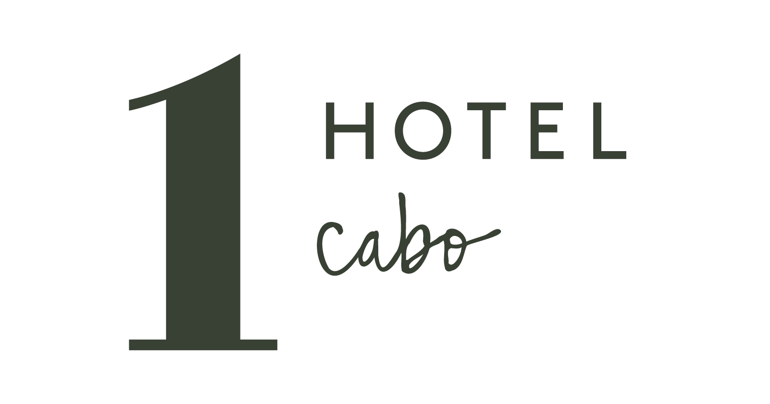 Transition logo Cabo
