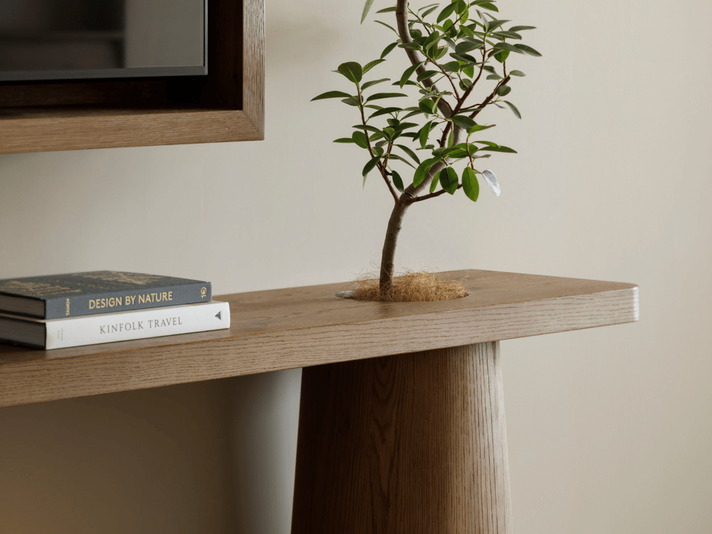 TV 카운터의 다육 식물