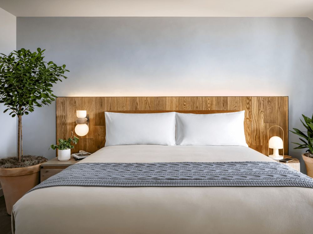 Un lit king size avec des plantes vertes en pot de chaque côté.