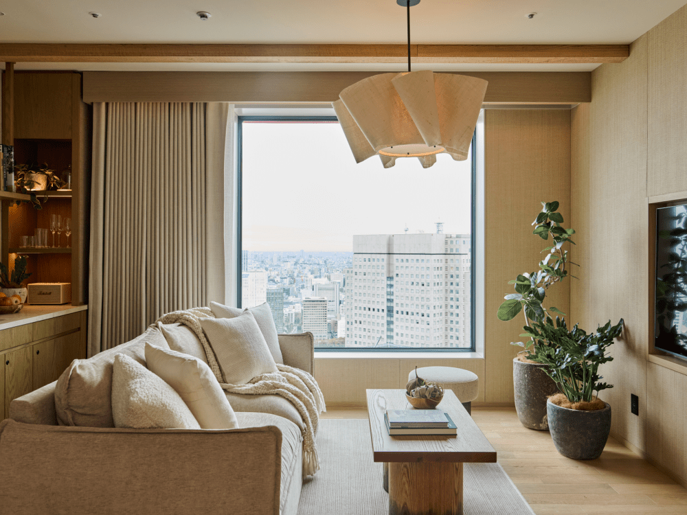 全景公园一卧套房客厅