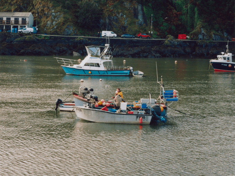 Fishing