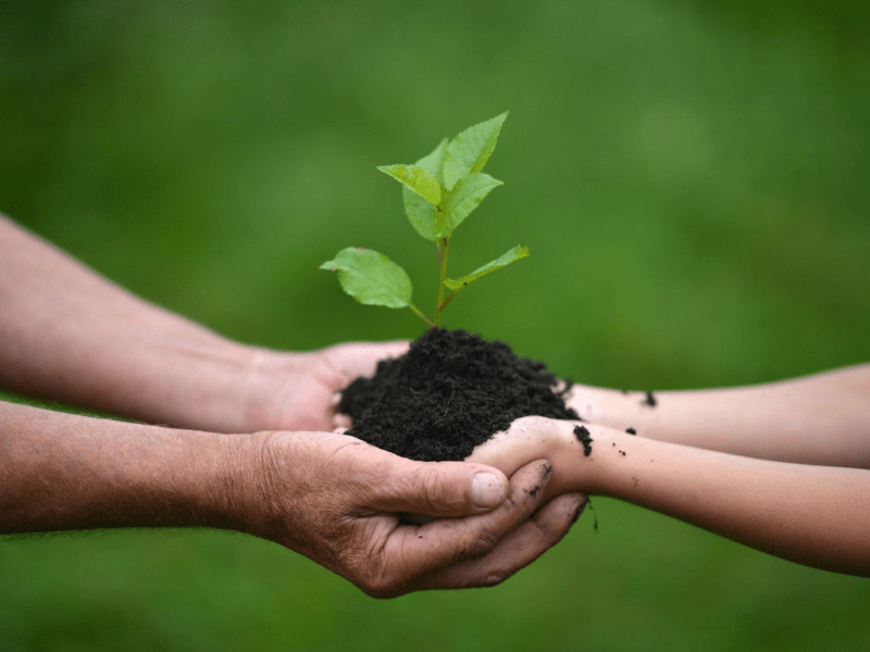 Two people holding a pile of dirt with a sprout