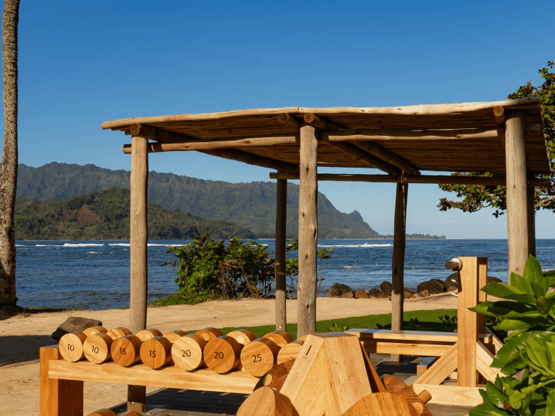 Outdoor fitness area with wooden workout equipment