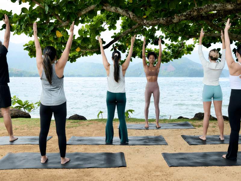 group wellness