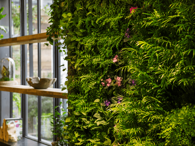 Green Wall