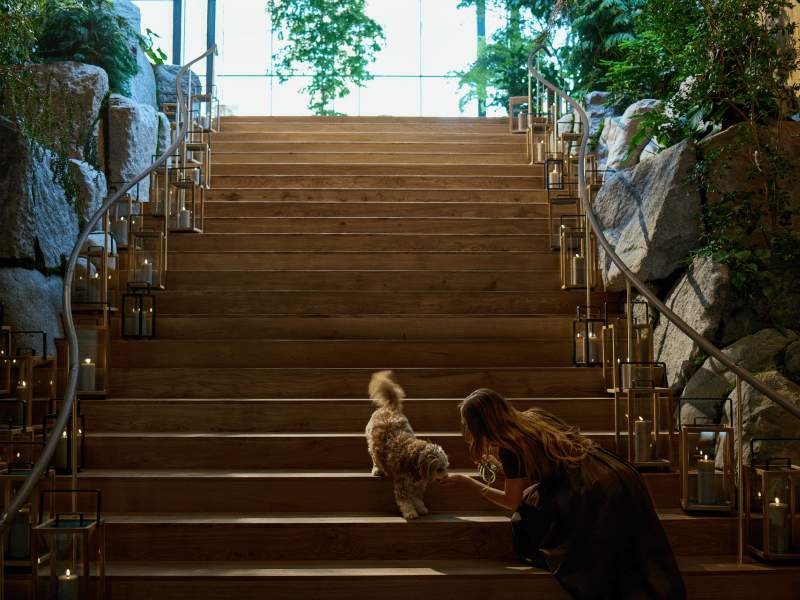Scala principale della CPH