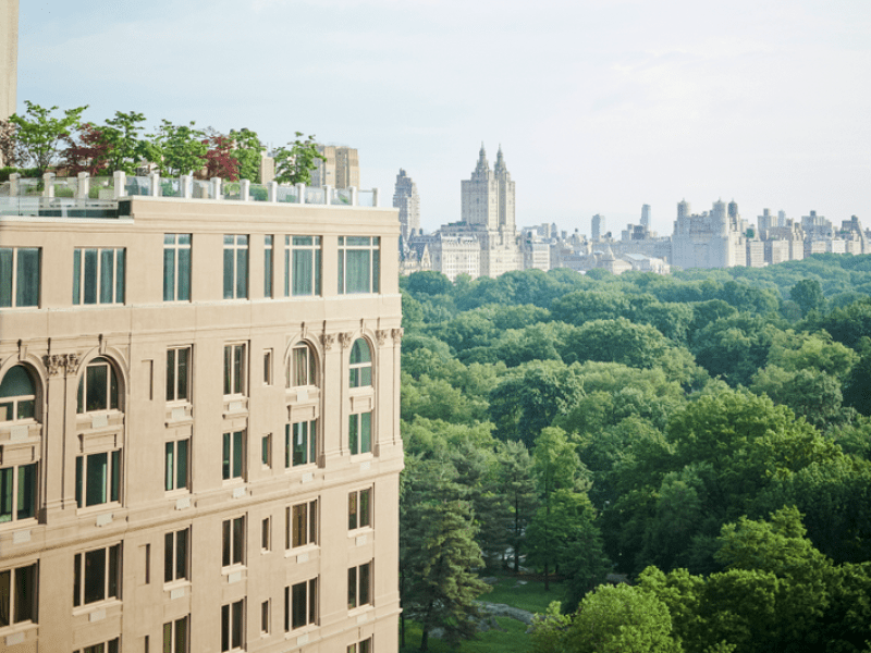 View of central park and skyline 