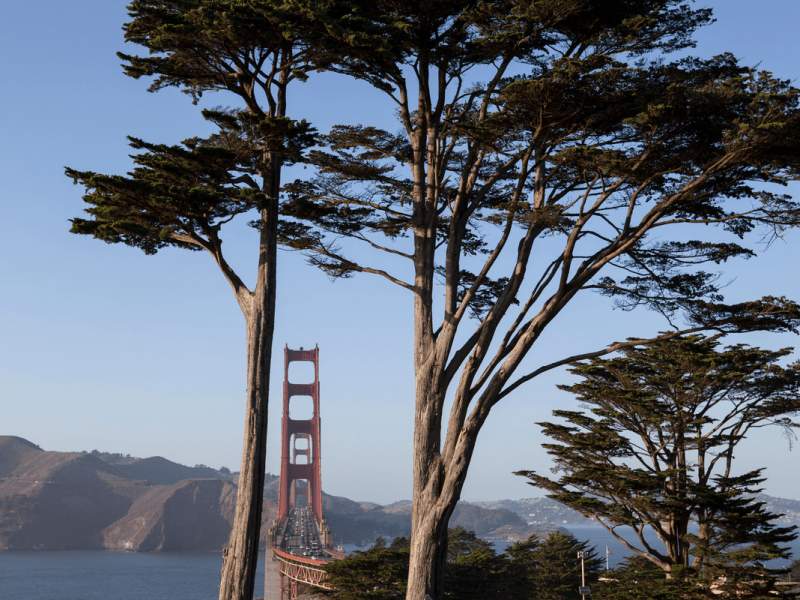 golden gate bridge