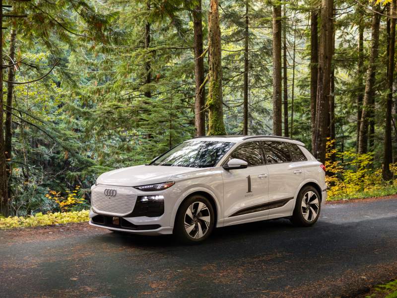 Audi House Car à Forest