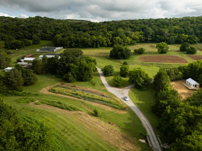 car driving through nature