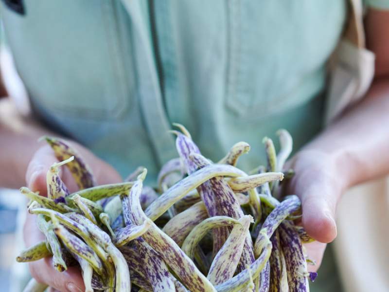Woman holding plants