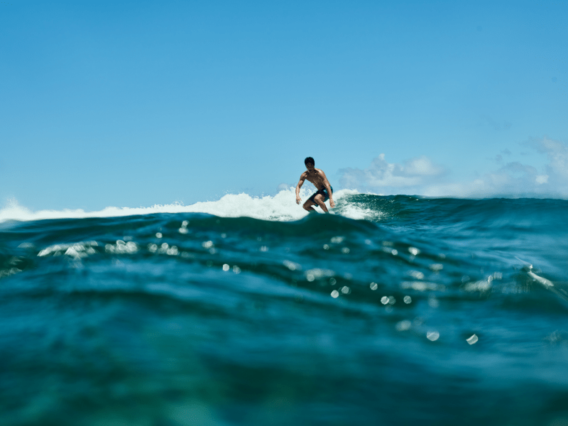 Surf