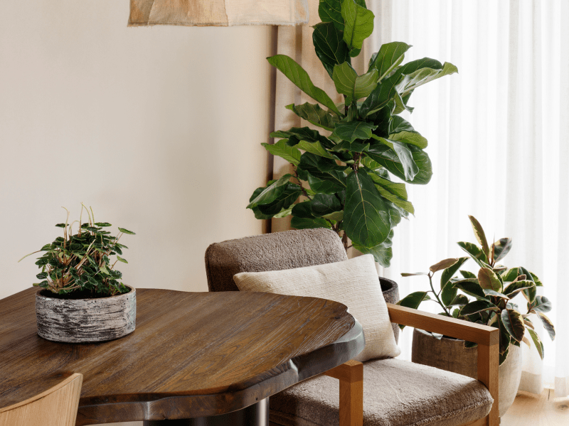 King River Desk