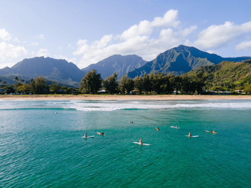 Guests enjoying the ocean using paddleboards with a view of the beach and mountain ranges 