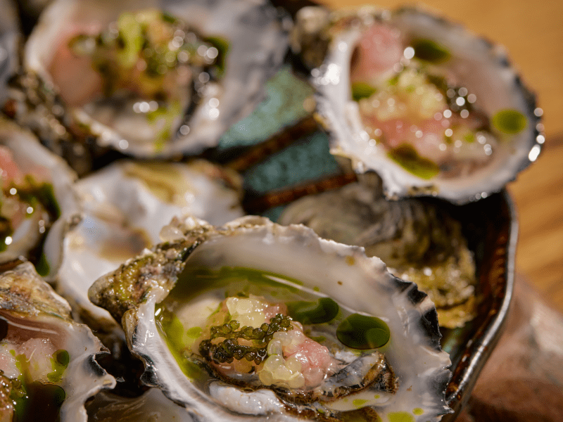 oysters