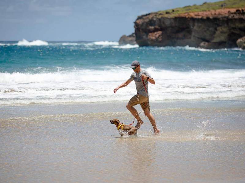 Programa de visitas de estudo da Humane Society