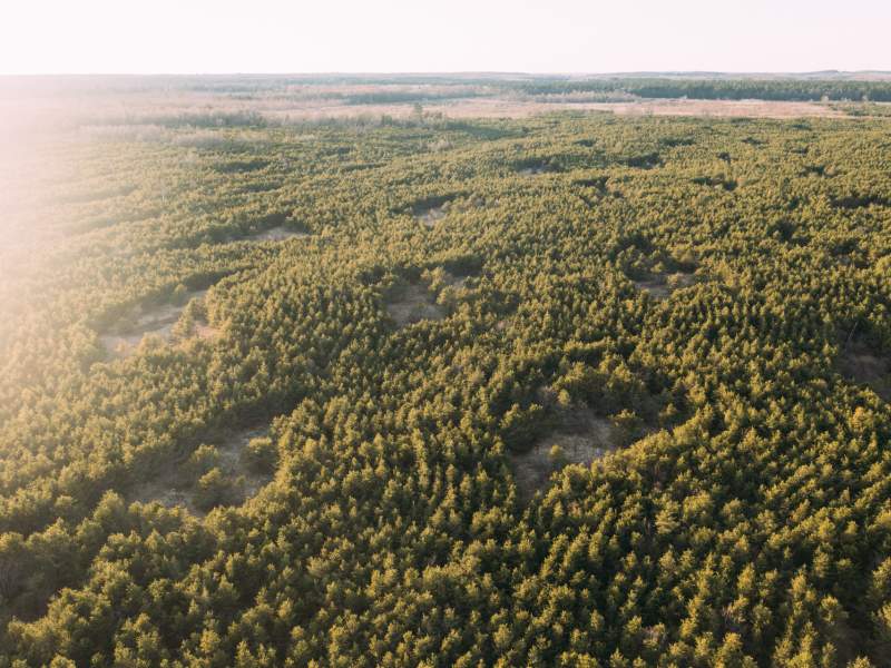 Arbor Day Foundation