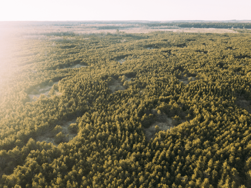 Arbor Day Foundation