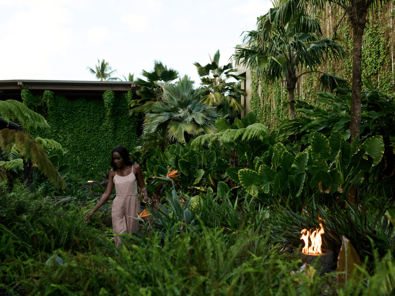 Aloha Botanical Tour 