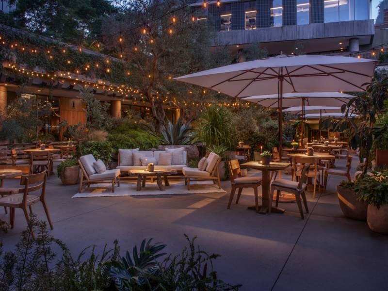 Juniper garden exterior