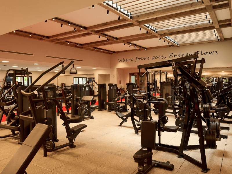 Anatomy Gym