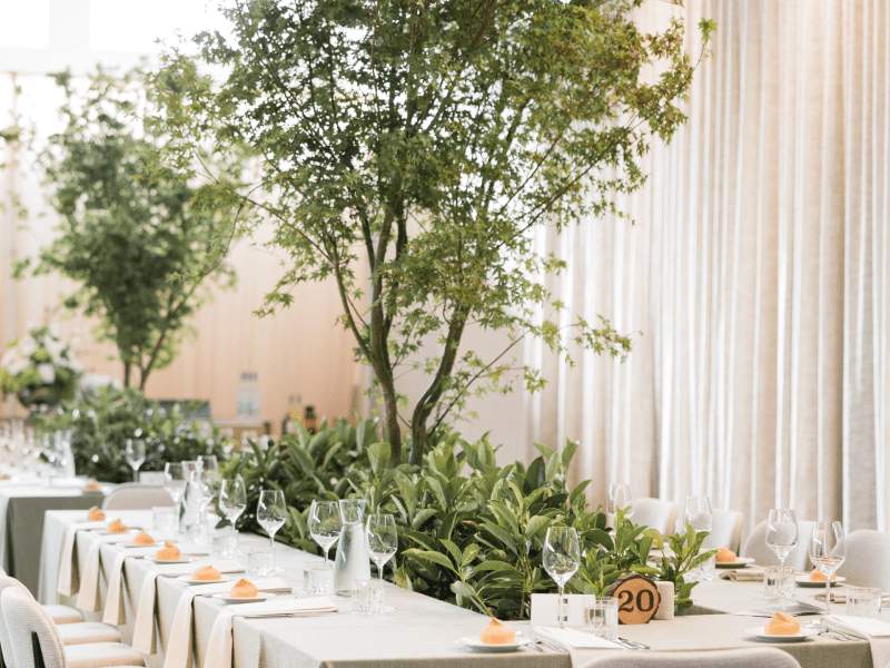 Matrimonio
