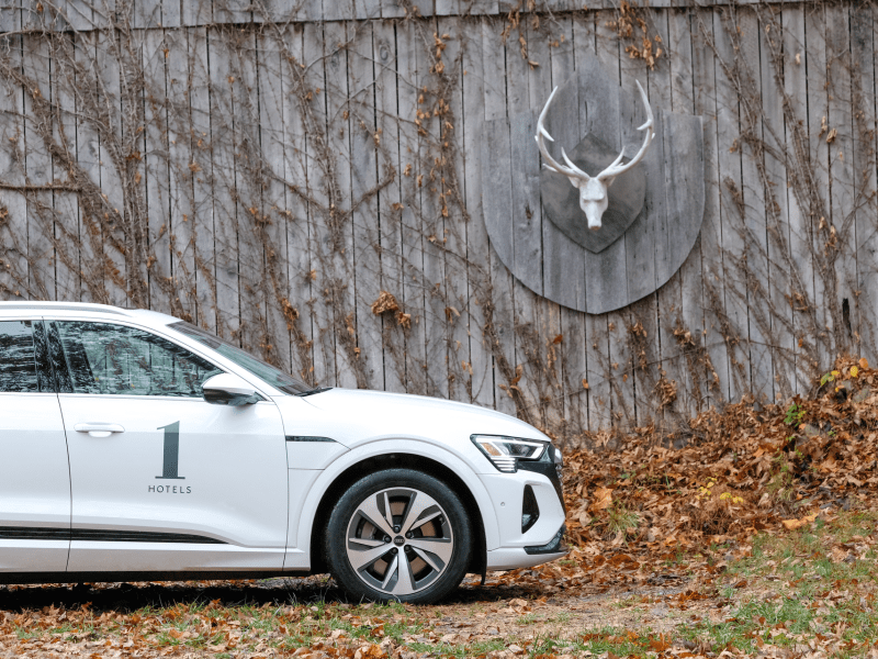 car in nature