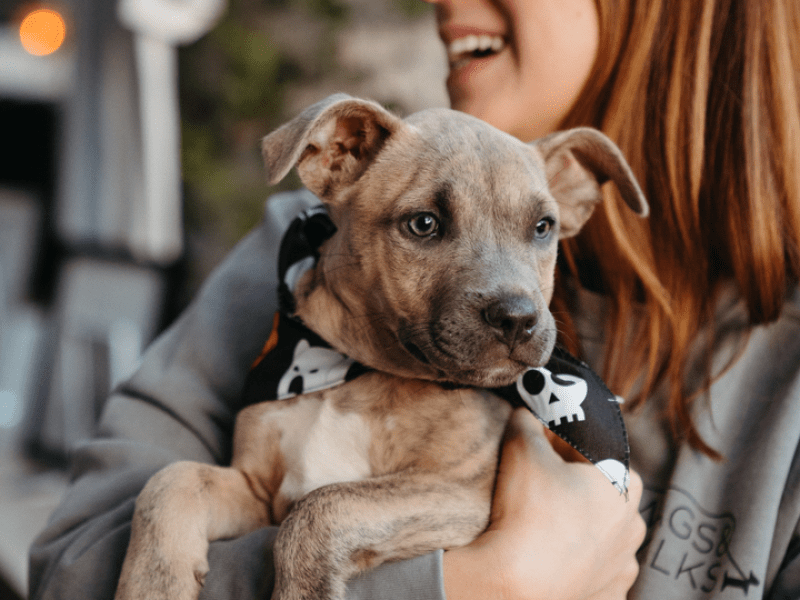 Woman holding a puppy