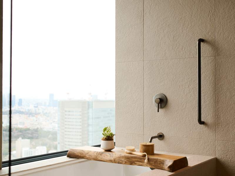 Arquitetura Jardim panorâmico 