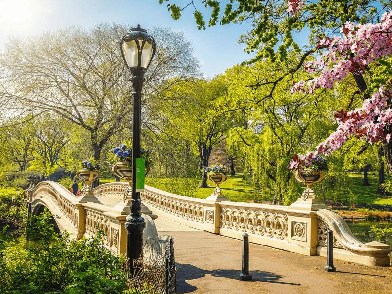 Central Park om foråret