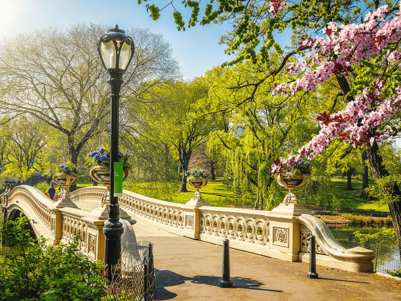 Central Park in the Spring