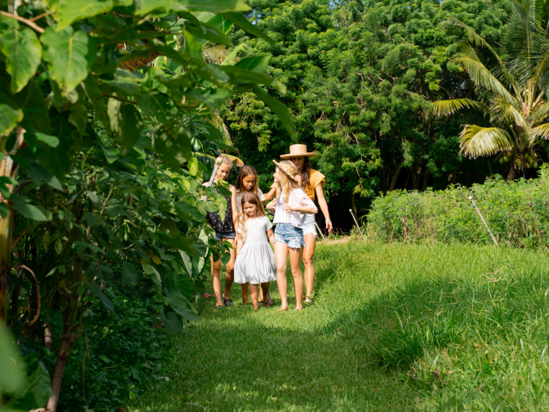 A group of people walking a path
