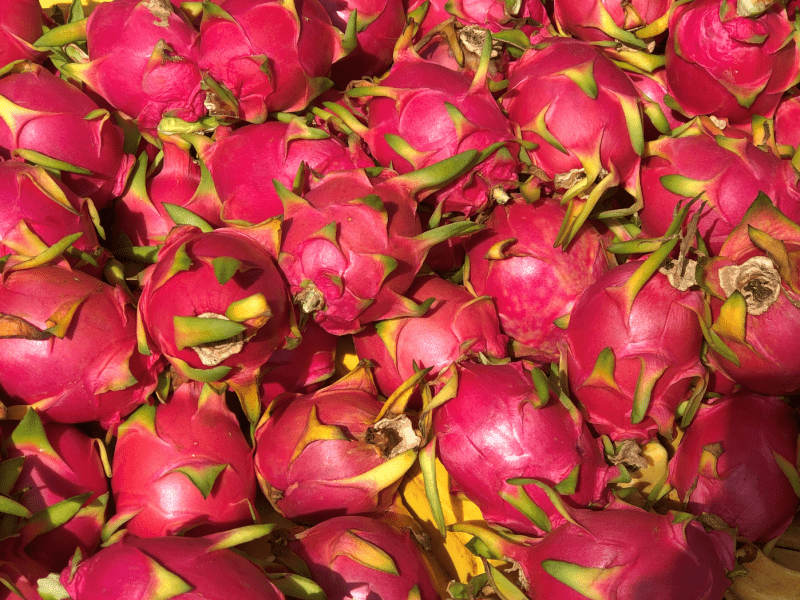 Dragonfruit