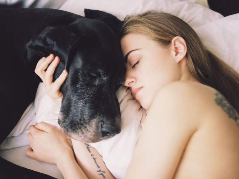 Person sleeping next to a dog
