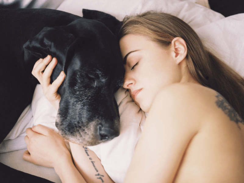 Person sleeping next to a dog