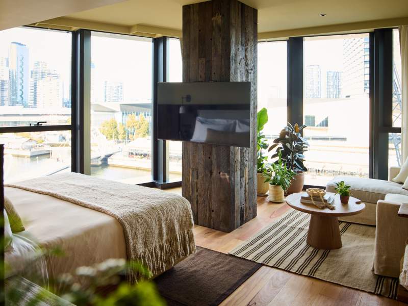 Chambre durable avec des plantes, un canapé, une table à thé, une télévision