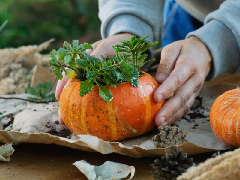 Pumpkin Flower Arrangement