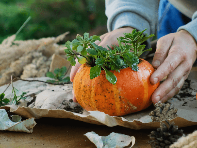 Pumpkin Flower Arrangement