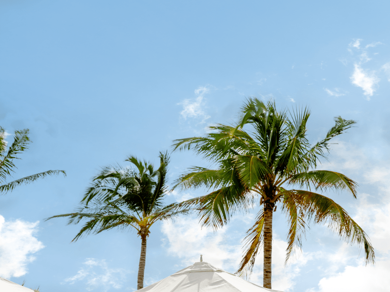 Image of a beach umbrella 