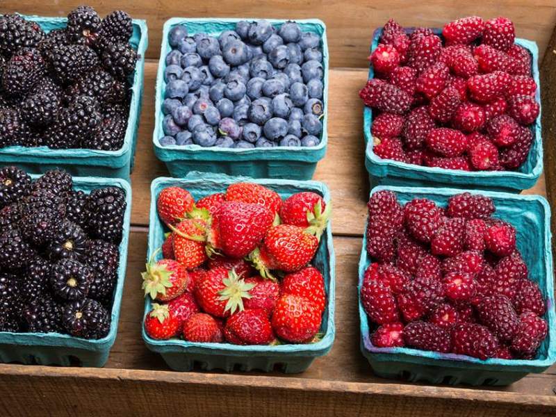 Cartons of fruit in a bin