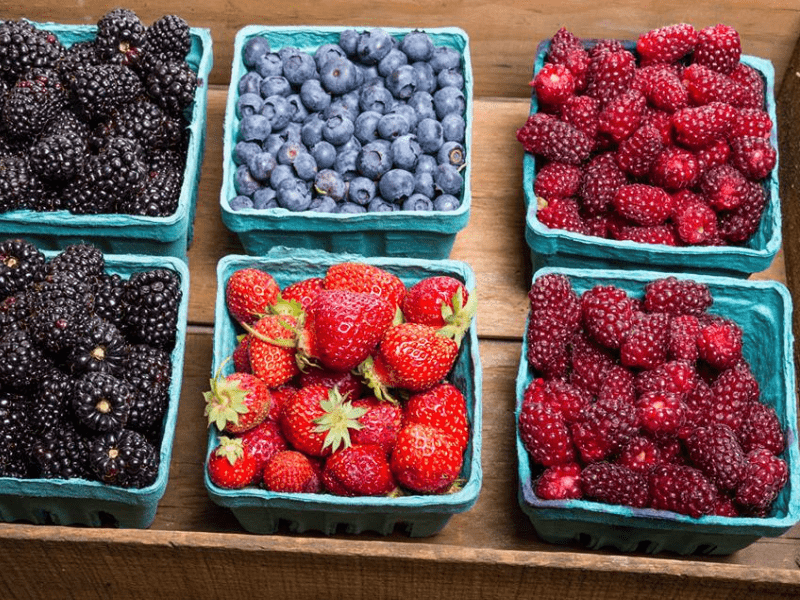 Cartons of fruit in a bin