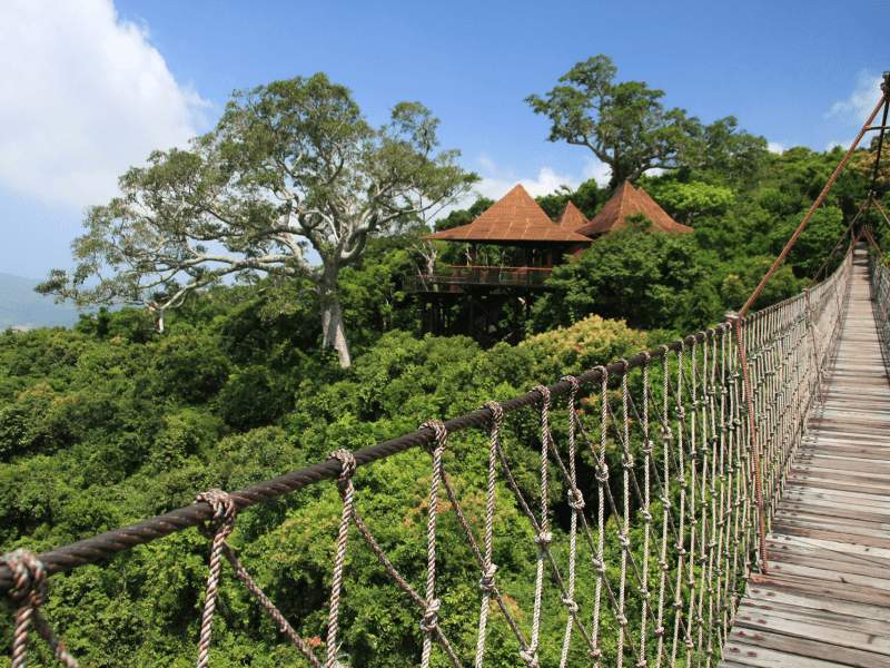 Yalong Bay Tropical Paradise Forest Park