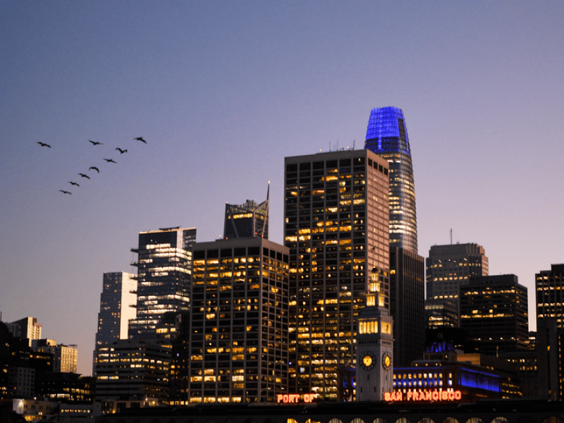 Lit up buildings at night from the water